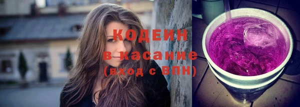 молекула духа Арсеньев