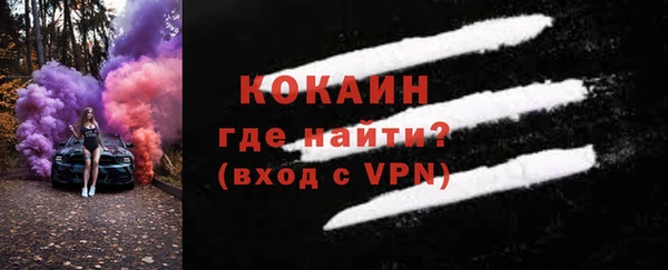 молекула духа Арсеньев