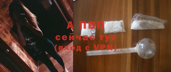 молекула духа Арсеньев