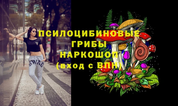винт Армянск