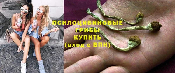 молекула духа Арсеньев