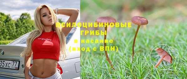 винт Армянск