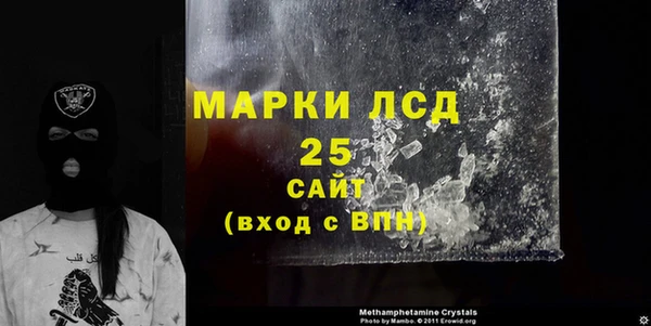 индика Ростов