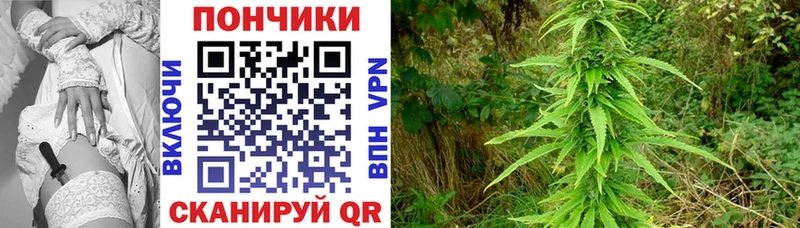Марихуана Bruce Banner Почеп